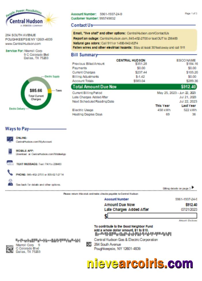 Central Hudson Energy Group utility business bill, page 1